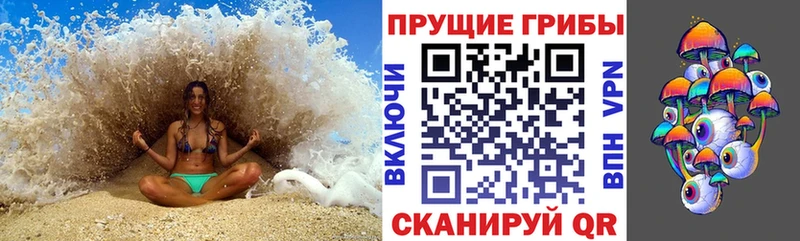 наркотики  Баксан  МЕГА вход  Галлюциногенные грибы Psilocybine cubensis 